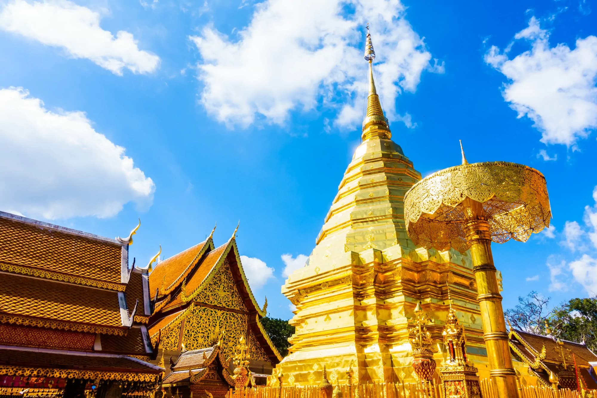 ภาคเหนือ